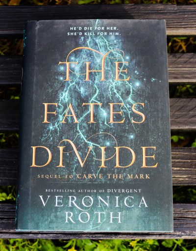 678ca6f1-8f8d-4259-aab0-92a2b1767ffa-2